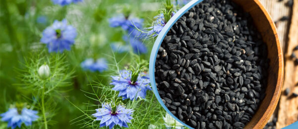 "Beneficios del Comino Negro y Cómo Utilizarlo"