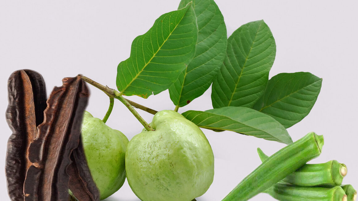 hojas de guayaba
