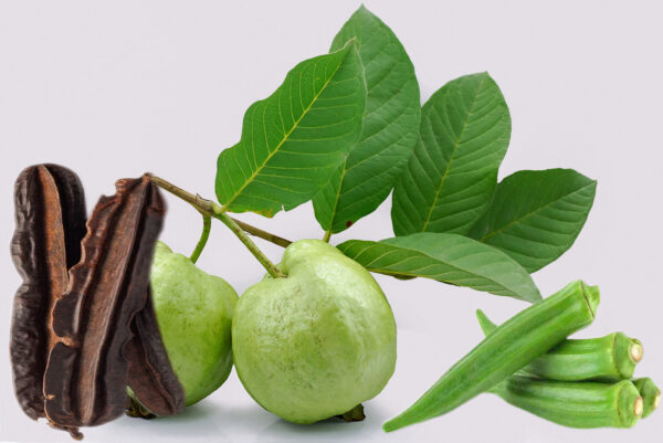 Receta medicinal con hojas de guayaba, fruto de Aidan y okra
