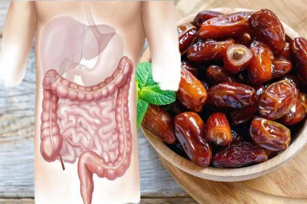 "¡La muerte comienza en el intestino! Recetas con dátiles para una limpieza profunda"
