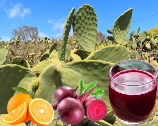 "Receta de batido de nopal, remolacha y naranja para desintoxicar y fortalecer el cuerpo"