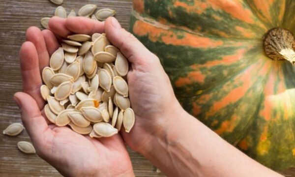 Semillas de auyama: Propiedades, beneficios y recetas para la próstata