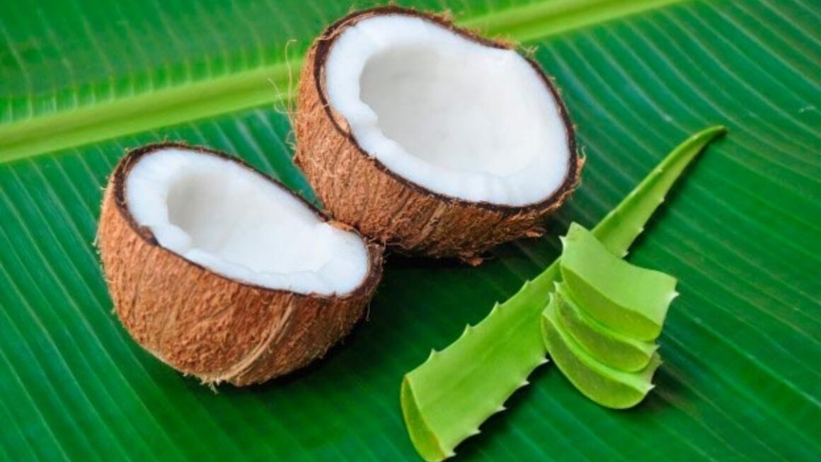 aloe vera y aceite de coco