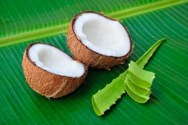 "Aloe vera y aceite de coco: el secreto de belleza que nadie te dirá"