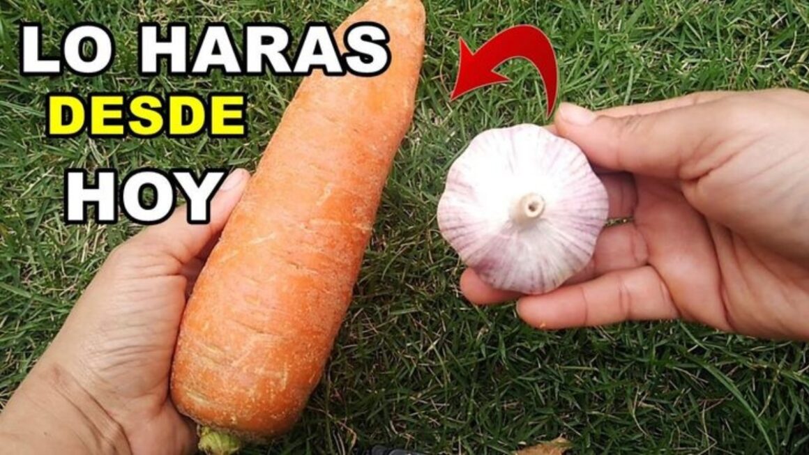 ajo y zanahoria