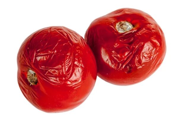 "4 Usos increíbles para los tomates dañados y sus beneficios"