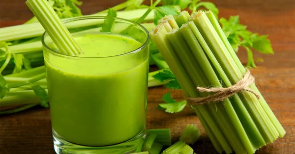 "Elimina bacterias con apio: Jugo para limpiar riñones, hígado y pulmones"