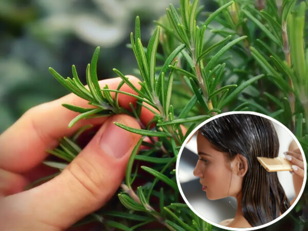Cómo Usar el Romero para el Cabello: Shampoo, Mascarilla y Más