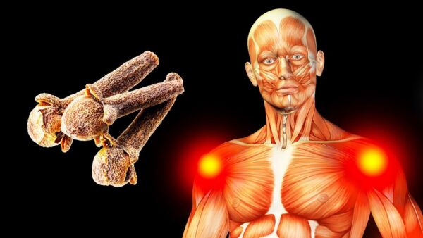 El Poder del Clavo de Olor: 20 Razones para Masticarlo a Diario