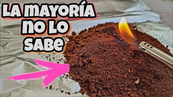 Cómo eliminar moscas y mosquitos del hogar con café: remedio casero efectivo