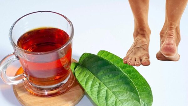 "Remedio con hojas de guayaba para retención de líquidos y piernas cansadas"