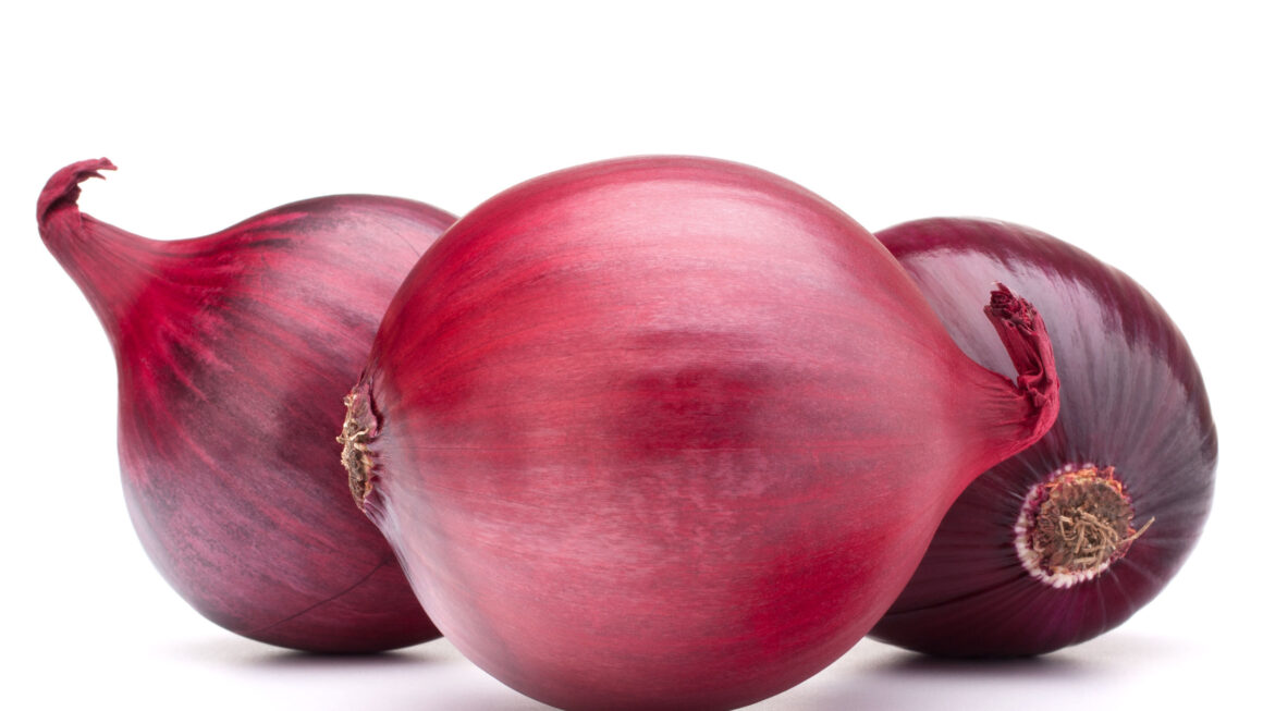 Cebolla