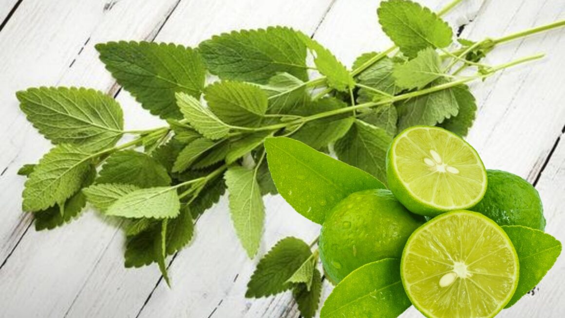 ortiga y limón