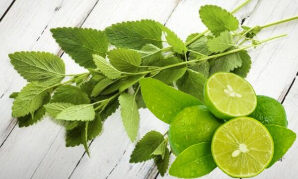Ortiga con limón: dos recetas naturales para transformar tu salud