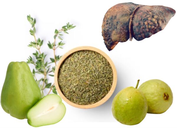 Chayote, Guayaba y Orégano: Remedio Casero para Obesidad e Hígado Graso