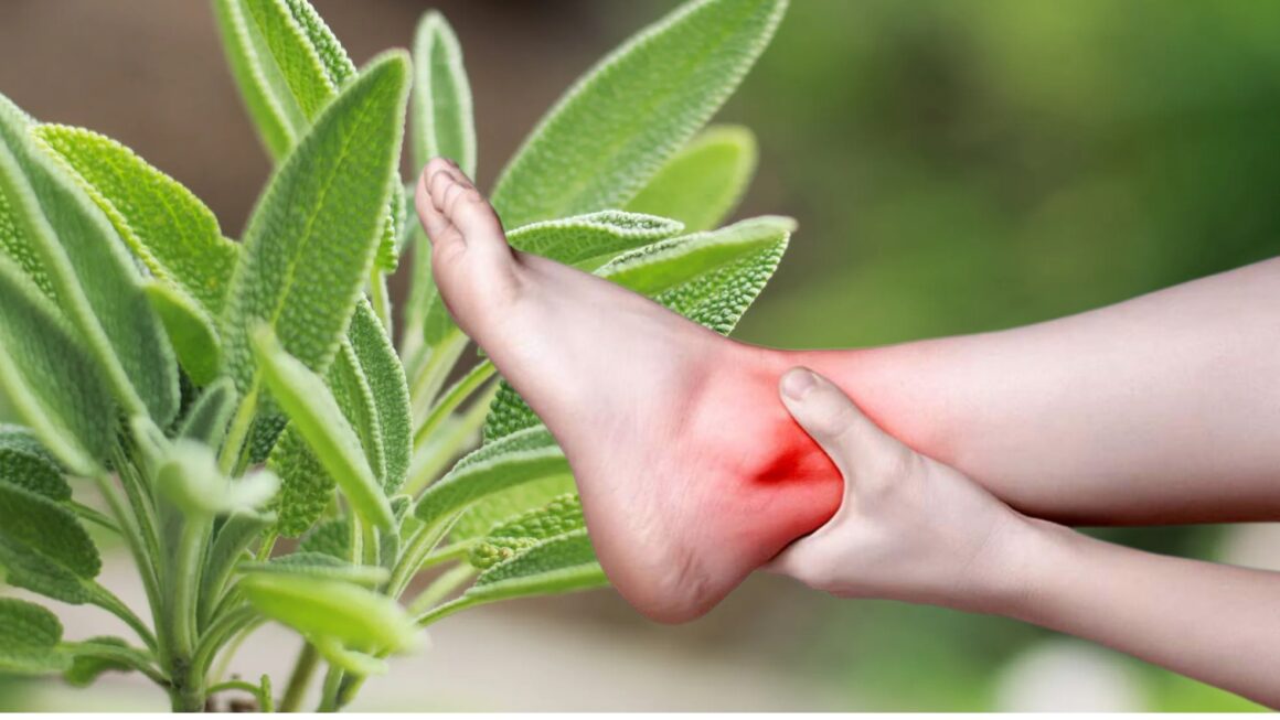 salvia