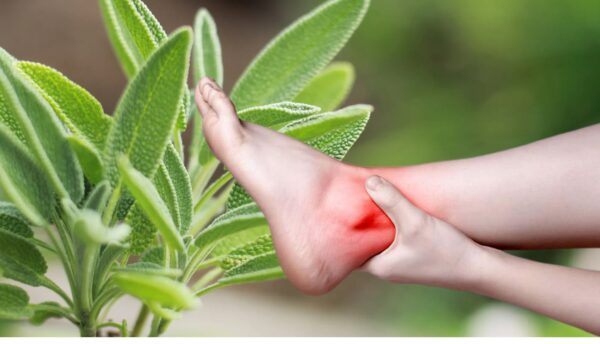 "Beneficios de la Salvia: Combate Demencia, Artritis y Migraña"