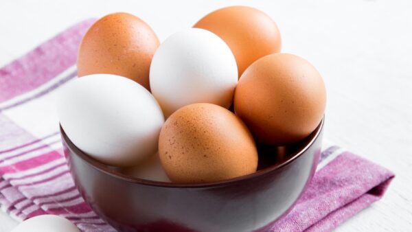 "Huevos blancos vs. marrones: ¿cuál es la verdadera diferencia?"