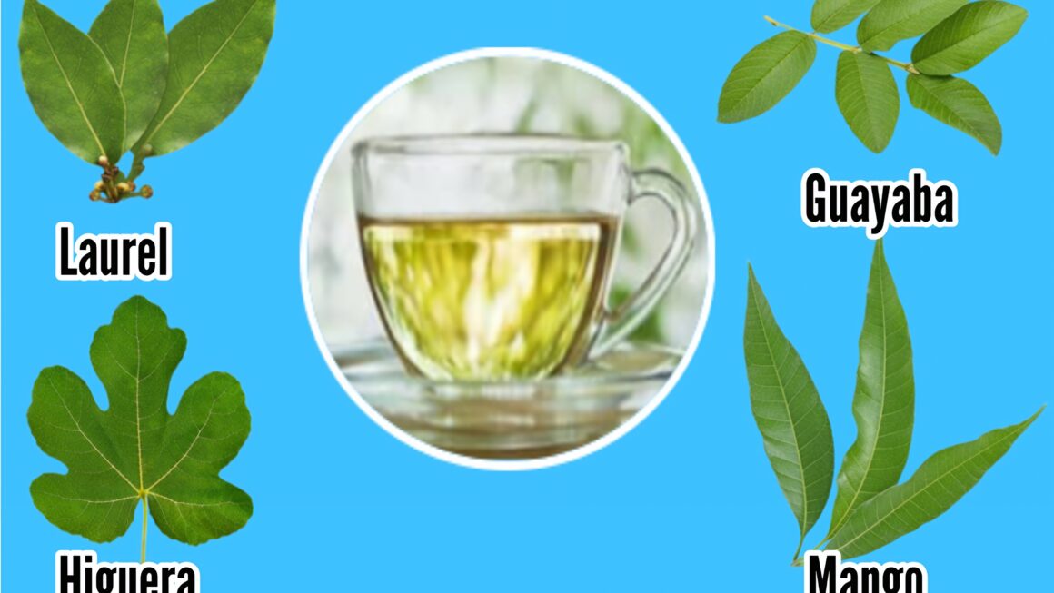 infusión