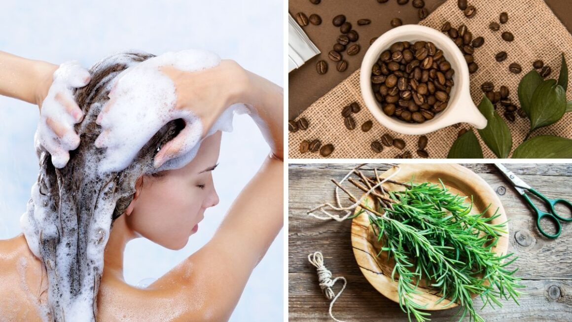 shampoo con café