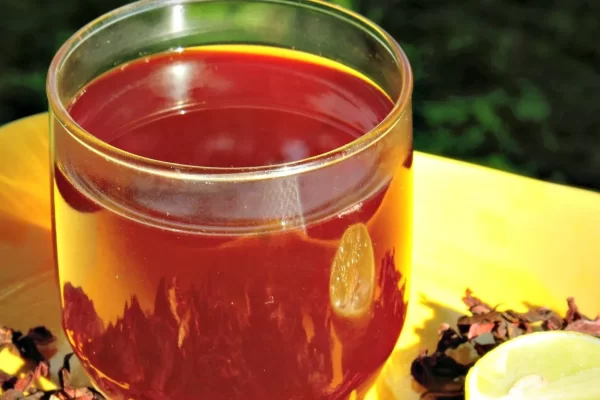🌺 Bebida de Laurel, Canela, Clavos de Olor y Flor de Jamaica: El Elixir Femenino Natural
