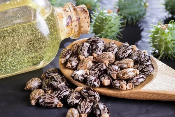 Usos del Aceite de Ricino para Restaurar la Vista y Aliviar la Irritación Ocular