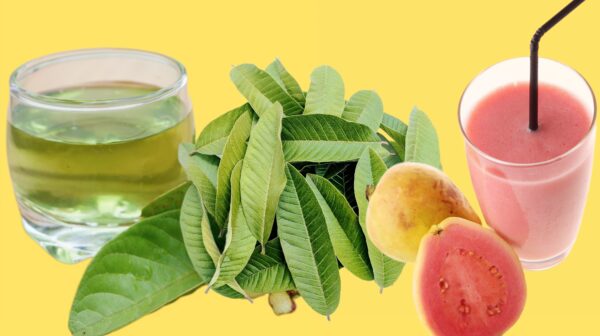 Guayaba: 20 Beneficios Comprobados, Propiedades y Recetas en Té y Jugo