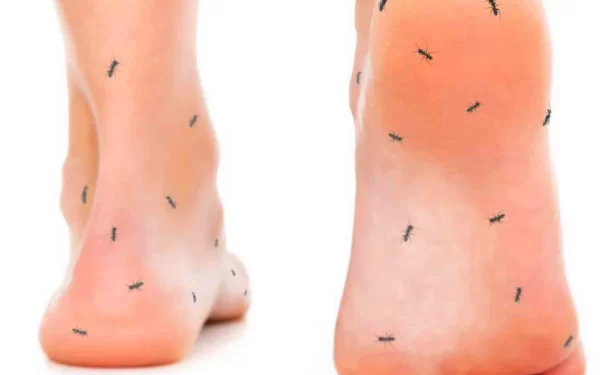 ¿Qué Dicen Tus Pies Sobre Tu Salud? Señales, Causas y Remedios Naturales