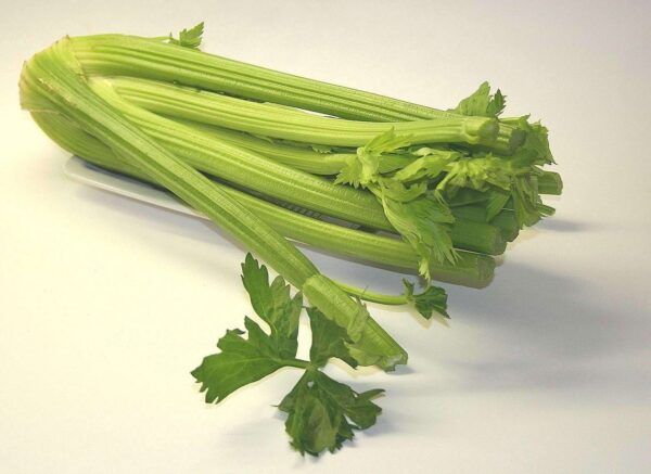 🥬 Limpia tu sangre, riñones e hígado con apio: el remedio natural que tu cuerpo necesita
