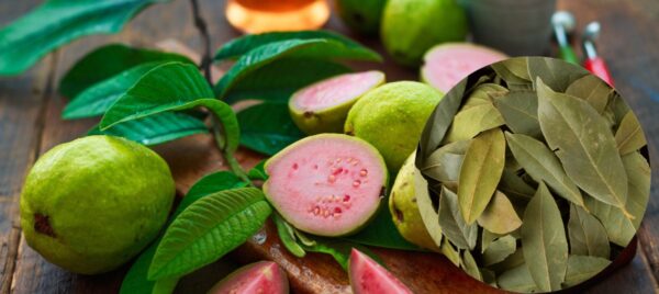 Infusión Natural de Guayaba, Laurel y Orégano: Limpia Tu Hígado y Riñones