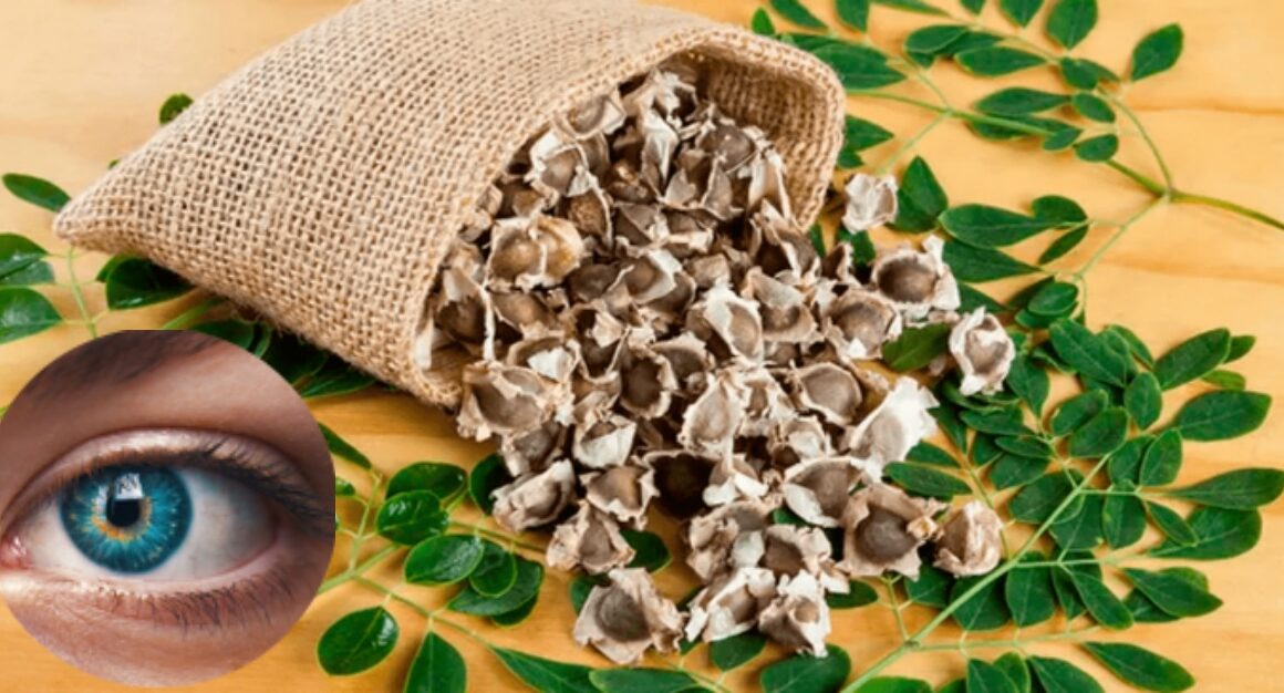 moringa