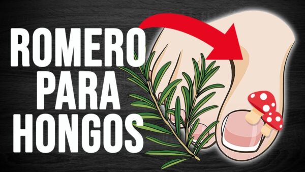 Cómo eliminar hongos de las uñas con romero de forma natural y efectiva