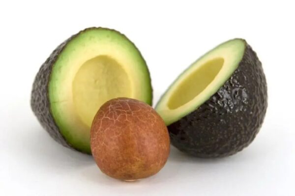 Cómo usar la semilla de aguacate para tratar enfermedades y fortalecer tu salud