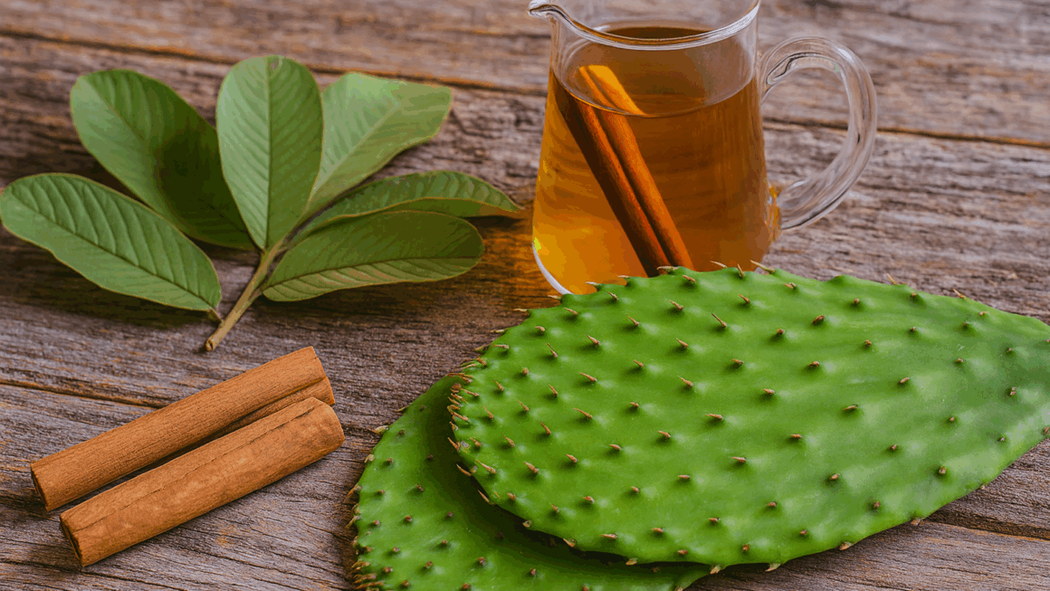 nopal