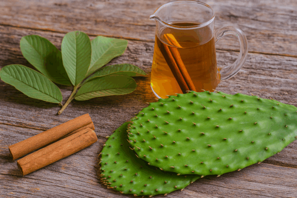 Combina nopal, hojas de guayaba y canela para tratar 25 problemas de salud