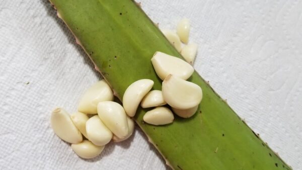 Remedios Naturales con Aloe Vera, Ajo y Clavos de Olor para Combatir Infecciones