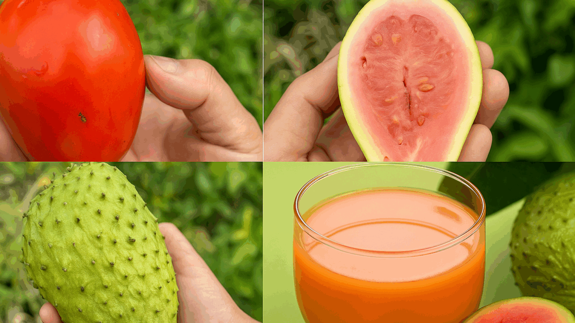 guayaba y la guanábana